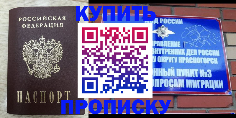 прописка гарантия в Сасово